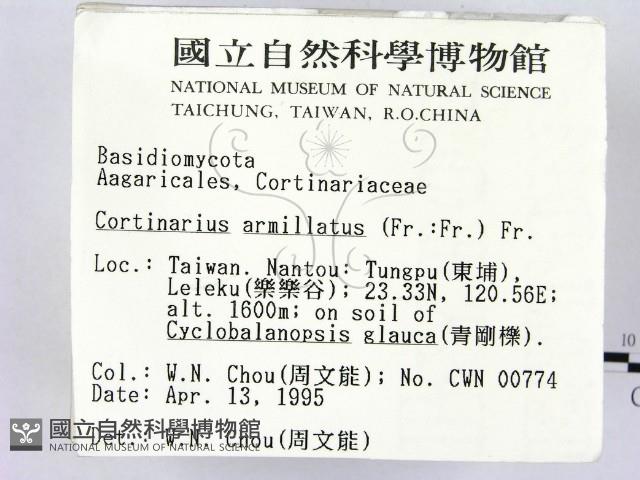 登錄號:F0003231藏品圖，第2張