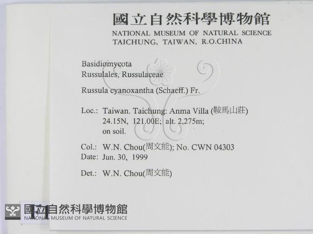 登錄號:F0013231藏品圖，第2張
