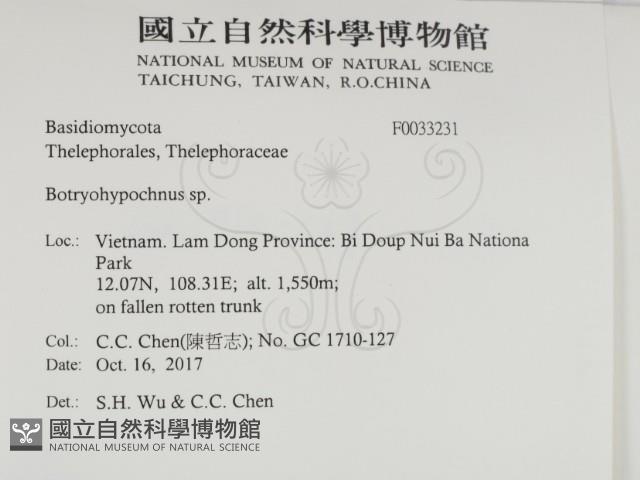 登錄號:F0033231藏品圖，第2張