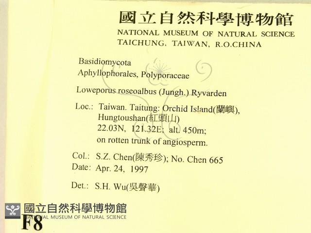 登錄號:F0008831藏品圖，第2張
