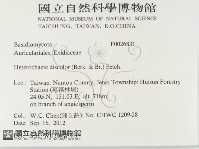 登錄號:F0026831藏品圖，第2張