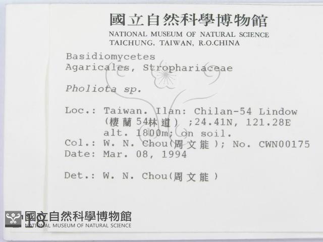 登錄號:F0001831藏品圖，第2張