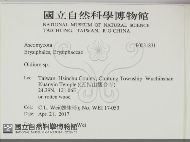 登錄號:F0031831藏品圖，第2張