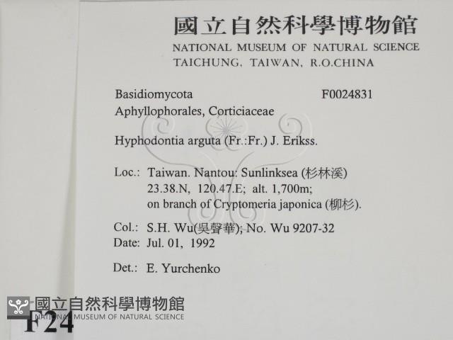 登錄號:F0024831藏品圖，第2張