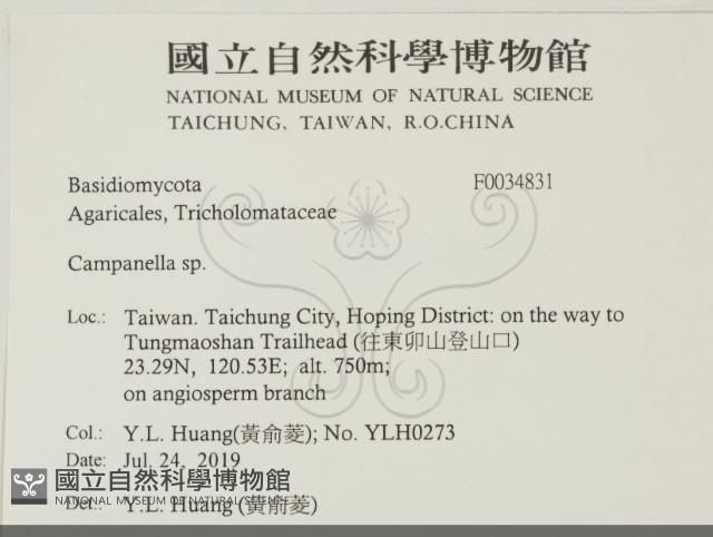 Accession Number:F0034831 Collection Image, Figure 2, Total 2 Figures