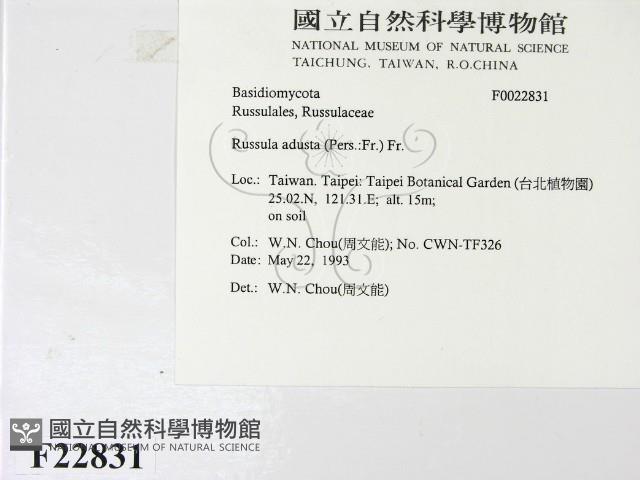 登錄號:F0022831藏品圖，第2張