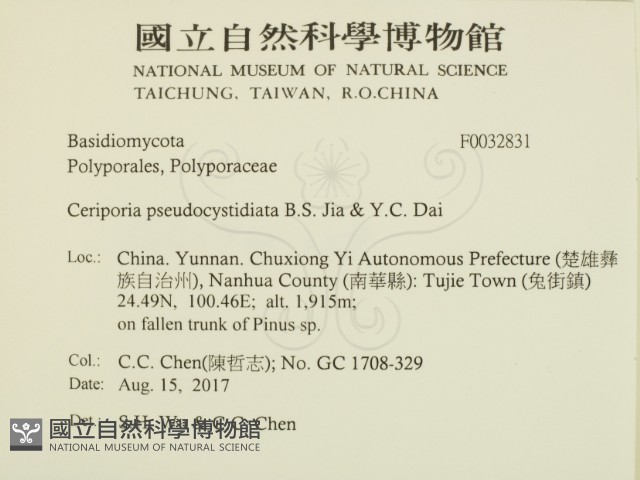 登錄號:F0032831藏品圖，第2張