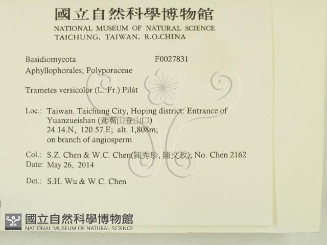 雲芝藏品圖，第2張