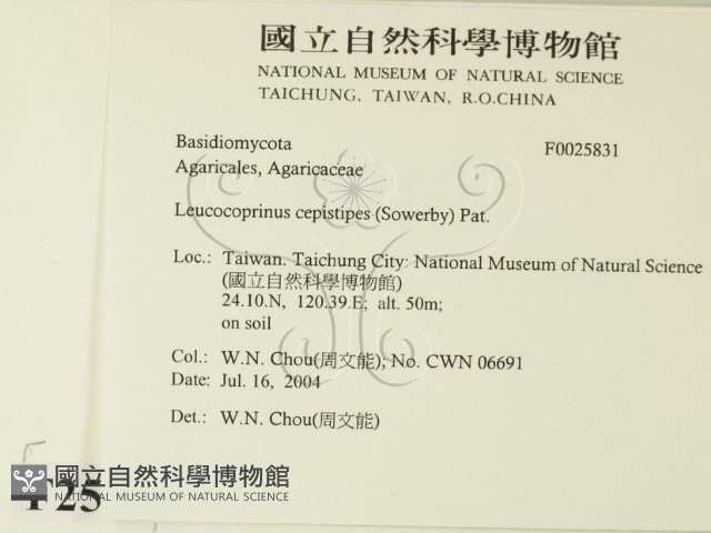 登錄號:F0025831藏品圖，第2張