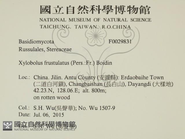 登錄號:F0029831藏品圖，第2張