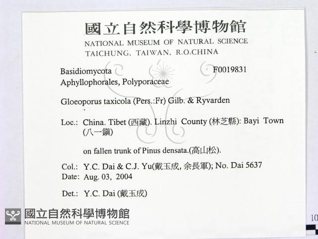 登錄號:F0019831藏品圖，第2張
