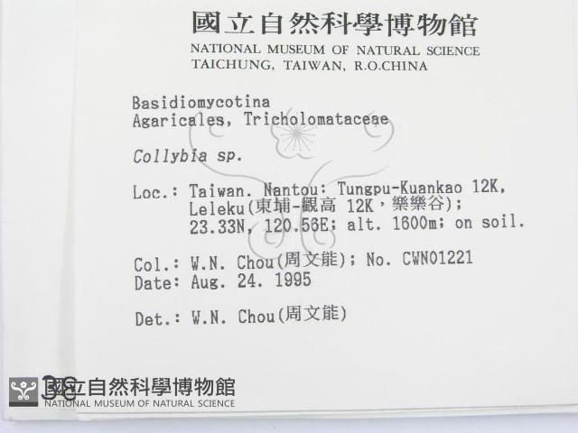 登錄號:F0003831藏品圖，第2張