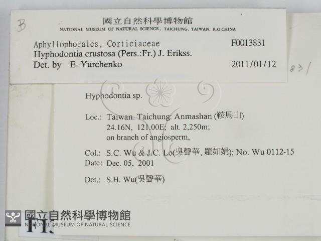 登錄號:F0013831藏品圖，第2張