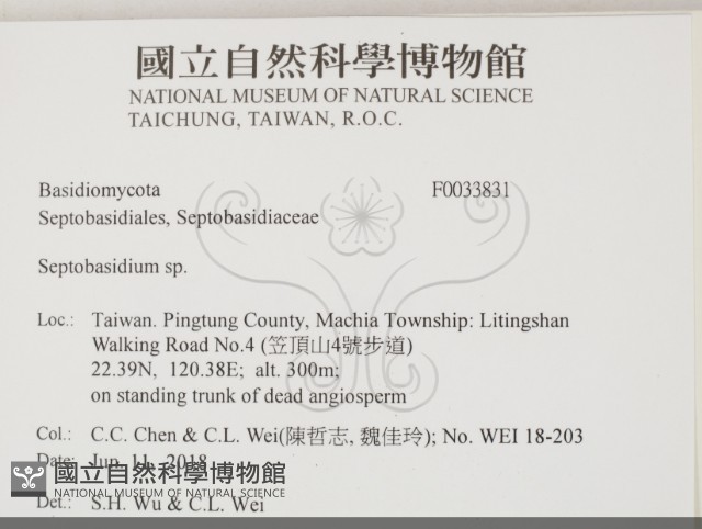 登錄號:F0033831藏品圖，第2張