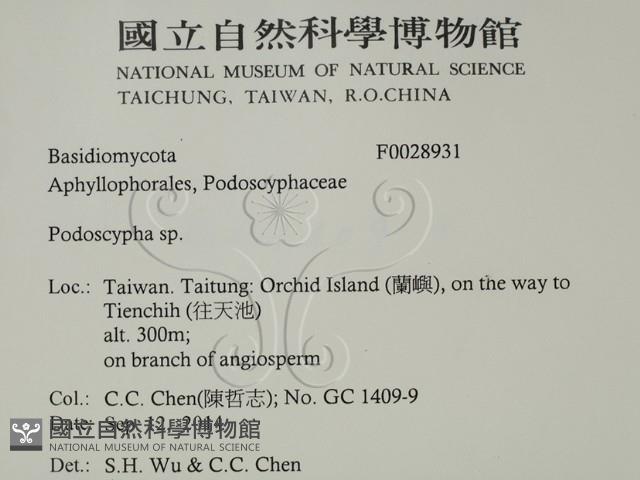 登錄號:F0028931藏品圖，第2張