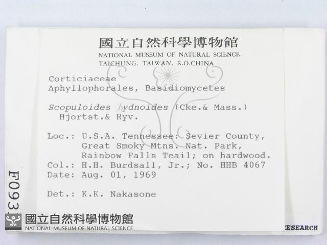 針齒銳岩菌藏品圖，第2張