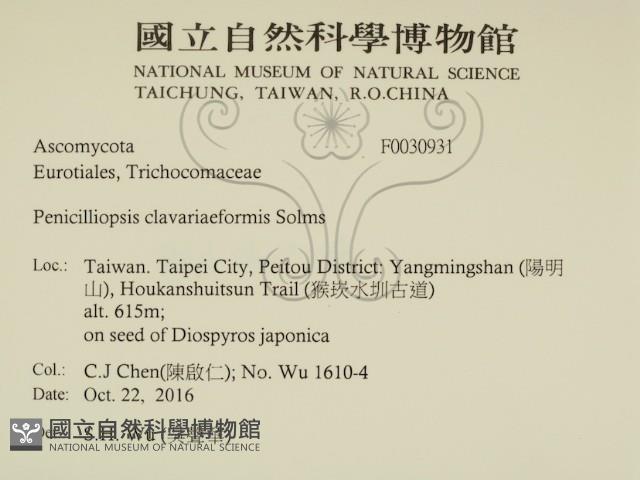 登錄號:F0030931藏品圖，第2張