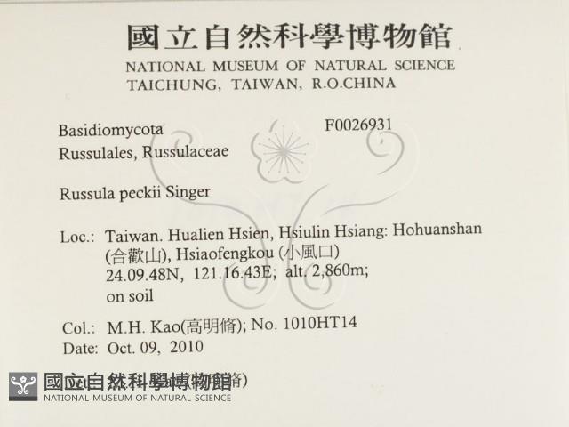 登錄號:F0026931藏品圖，第2張