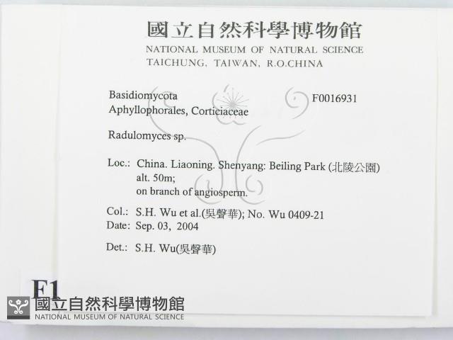 登錄號:F0016931藏品圖，第2張