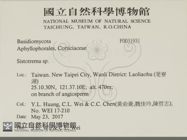 登錄號:F0031931藏品圖，第2張