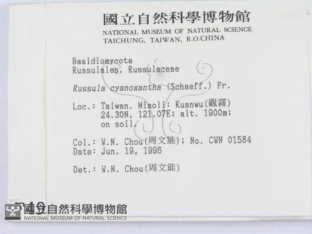 登錄號:F0004931藏品圖，第2張