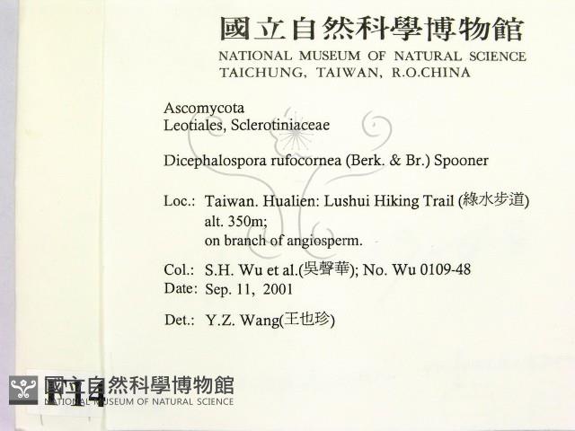 登錄號:F0014931藏品圖，第2張