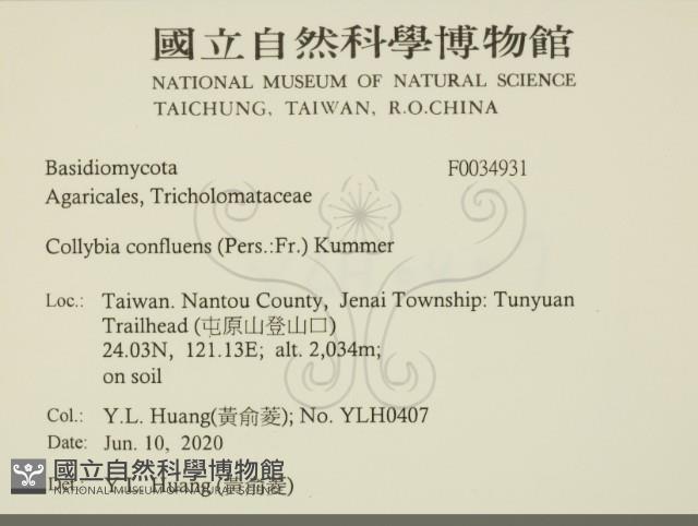 登錄號:F0034931藏品圖，第2張