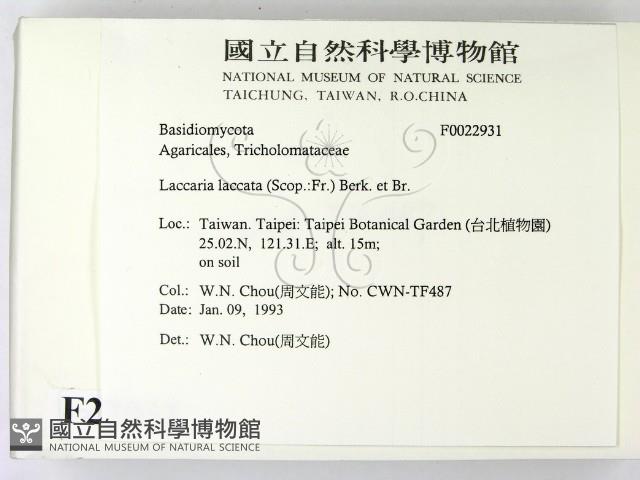 登錄號:F0022931藏品圖，第2張