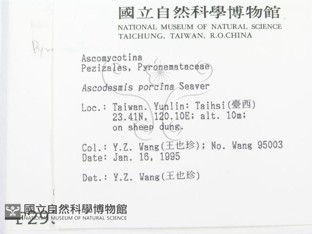 登錄號:F0002931藏品圖，第2張