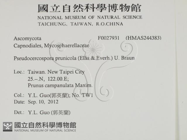 登錄號:F0027931藏品圖，第2張