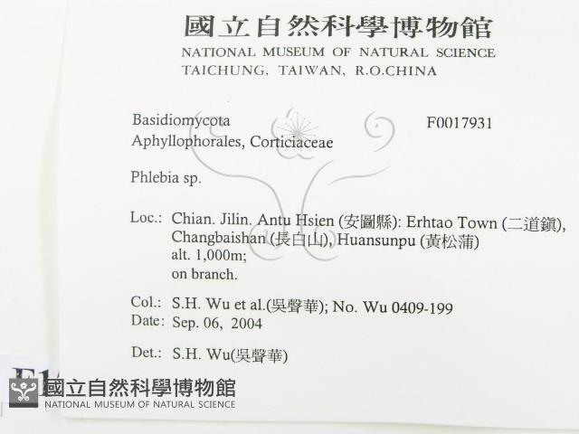 登錄號:F0017931藏品圖，第2張