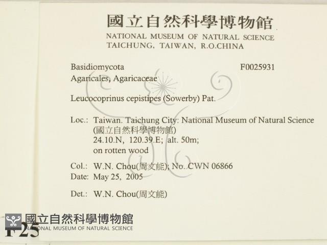 登錄號:F0025931藏品圖，第2張