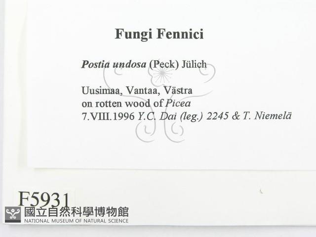 登錄號:F0005931藏品圖，第2張