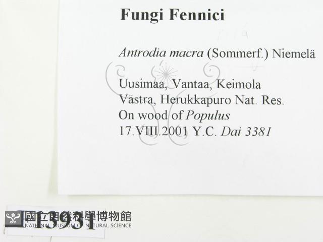 登錄號:F0013931藏品圖，第2張