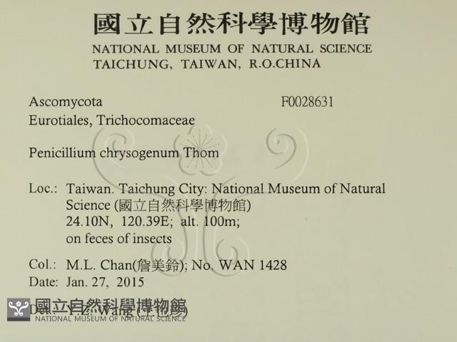 登錄號:F0028631藏品圖，第2張