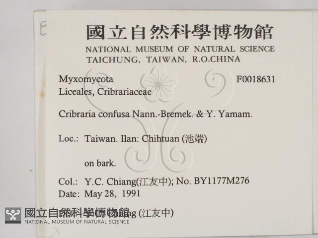 登錄號:F0018631藏品圖，第2張