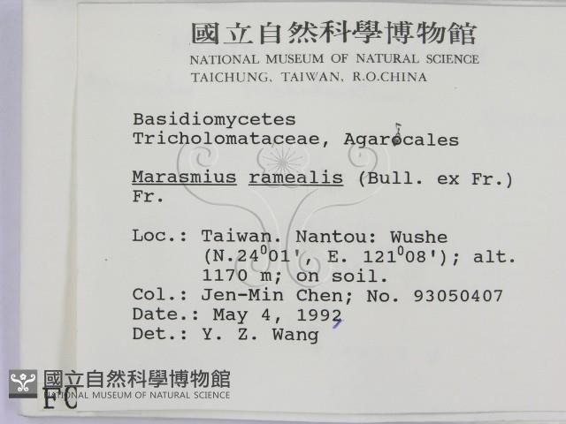 登錄號:F0000631藏品圖，第2張