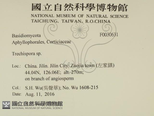 登錄號:F0030631藏品圖，第2張
