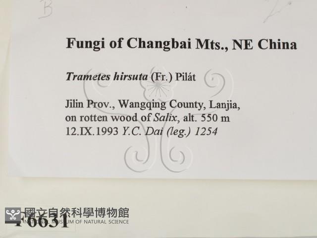 登錄號:F0006631藏品圖，第2張