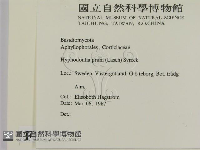 登錄號:F0016631藏品圖，第2張