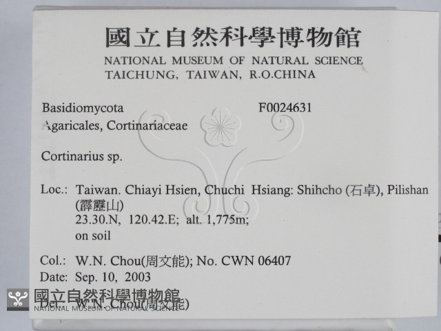 登錄號:F0024631藏品圖，第2張
