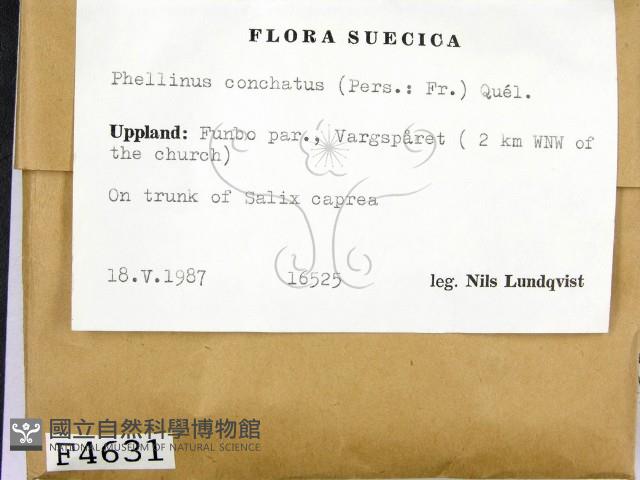 登錄號:F0004631藏品圖，第2張