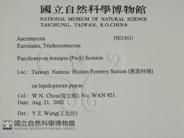 登錄號:F0014631藏品圖，第2張