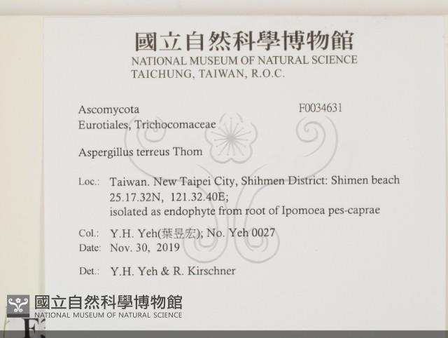 登錄號:F0034631藏品圖，第2張