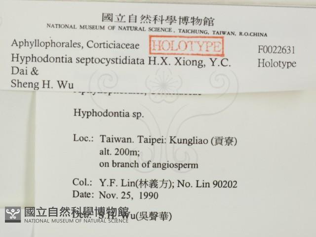 登錄號:F0022631藏品圖，第2張