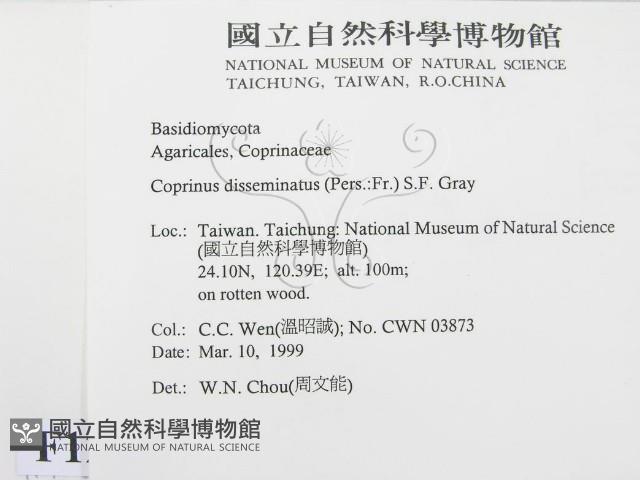 登錄號:F0012631藏品圖，第2張