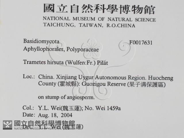 登錄號:F0017631藏品圖，第2張