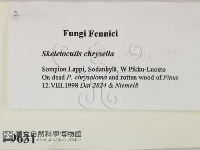 登錄號:F0009631藏品圖，第2張