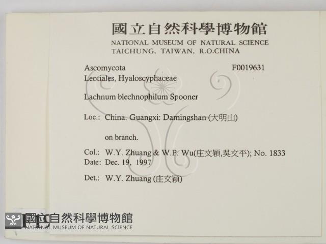 登錄號:F0019631藏品圖，第2張