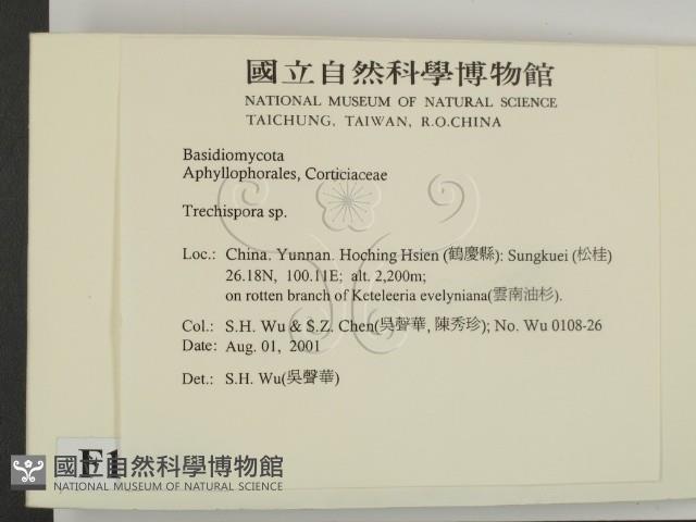 登錄號:F0013631藏品圖，第2張